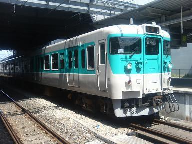 7890184.jpg