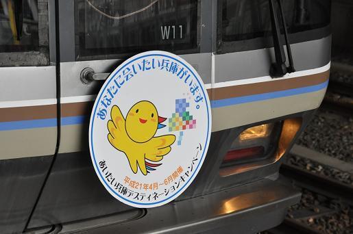 DSC_0067a.JPG