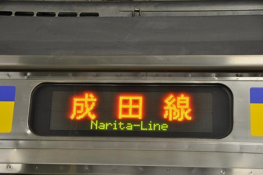 DSC_0803a.JPG