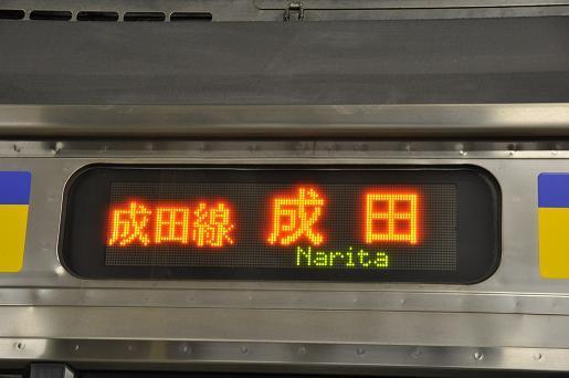 DSC_0804a.JPG