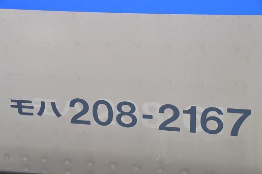 DSC_0950a.JPG
