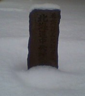P1000014.JPG