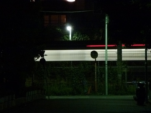 P1060068a.jpg