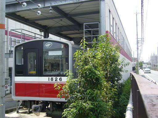 P1350168.JPG